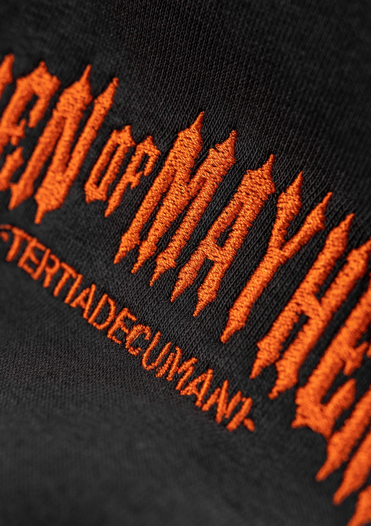 Crewneck Classic G/O - Image 3
